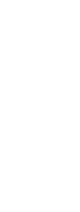 Auriculaire